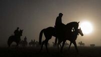 Court dismisses claim over fall from horse but warns riding schools on liability