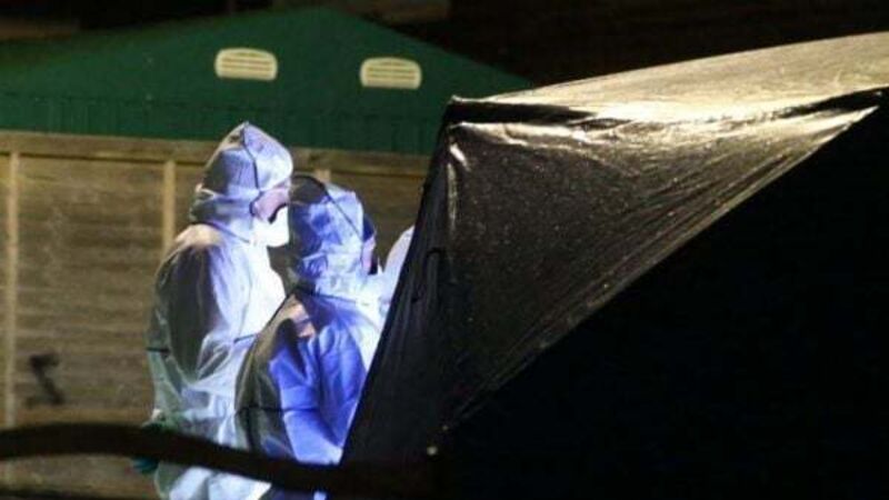 Man charged with causing serious harm after fatal stabbing in Dublin
