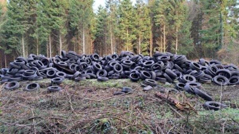 Thousands of tyres dumped on forest land in Co Meath