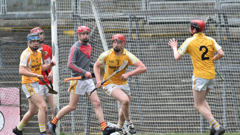 Hamilton High hurlers knock out Charleville CBS to reach Munster final