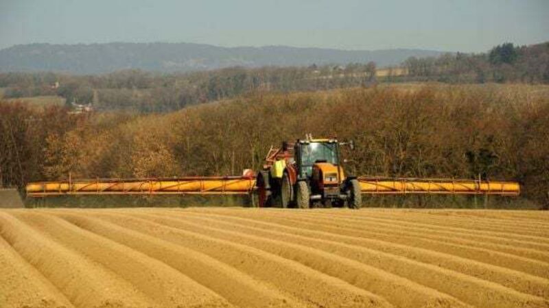One in four show low-level exposure to weed killer glyphosate – study