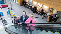 New York most desired route from Cork, survey finds 