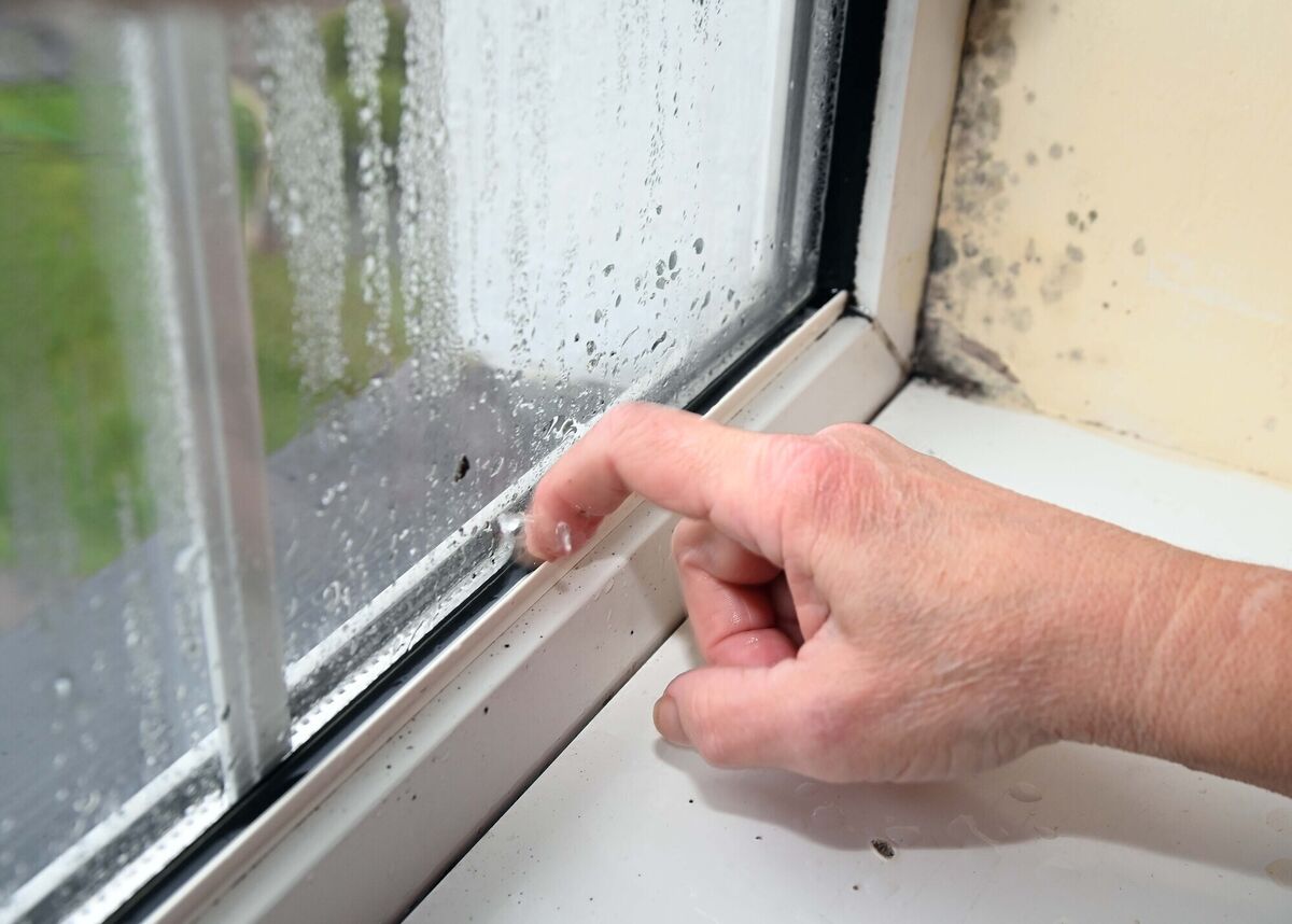 Dampness inside a bedroom window with water lodged on the window frame in a house at Fairhill, Cork.