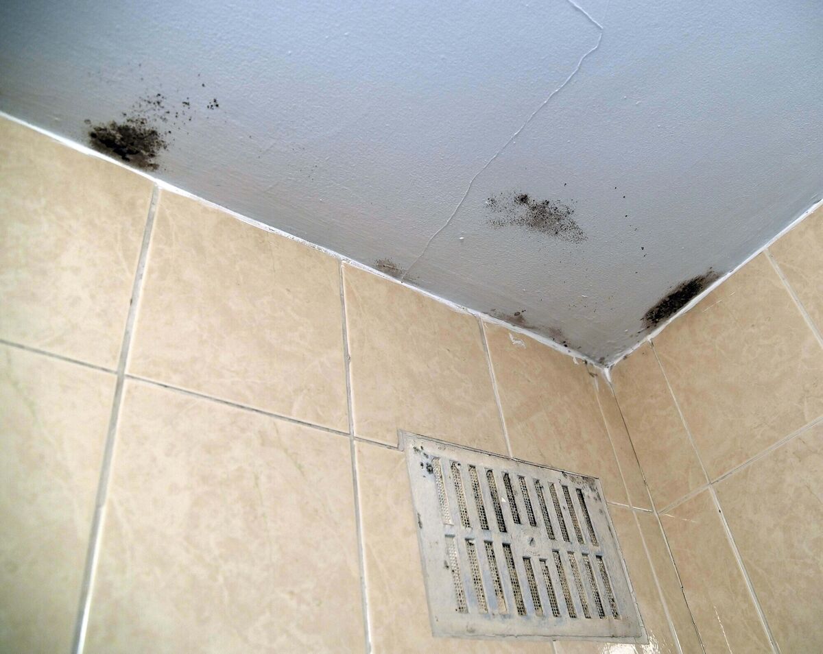 Dampness on the ceiling of the bathroom of a house at Hollyhill, Cork. Picture Denis Minihane.