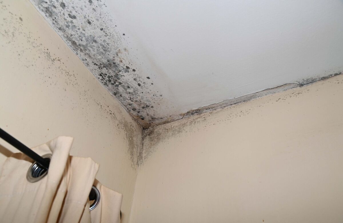 Dampness on a bedroom ceiling in a house at Fairhill, Cork.