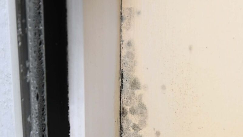 Family worried about health implications from mould and damp in Cork city council house