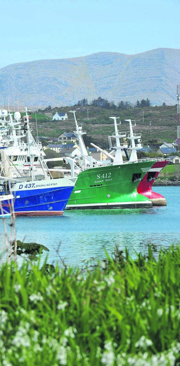 A trawler heading to the pier at Castletownbere, Co Cork. Picture: Dan Linehan