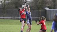 Shane Ronayne hails Cork spirit after battling back in tough conditions to secure a point