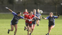Cork ladies football: Talking points from the draw with Waterford