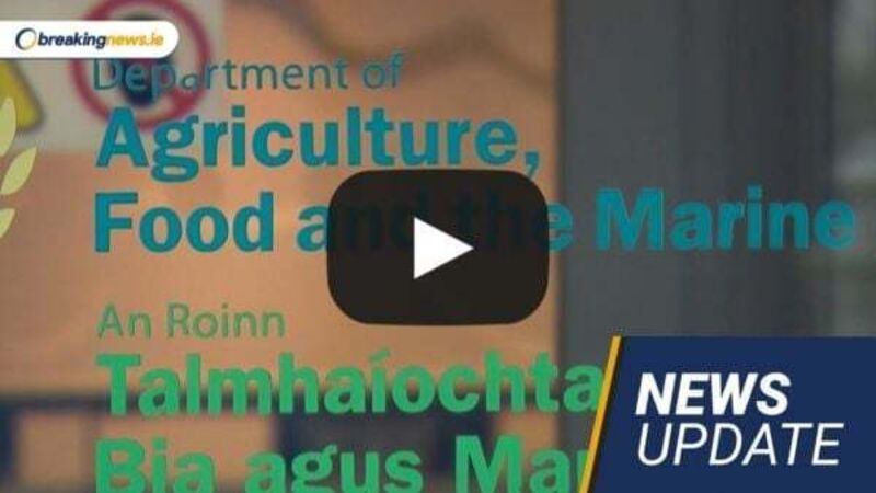 Live: First mica case admitted to Commerical Court; Salmonella outbreak confirmed