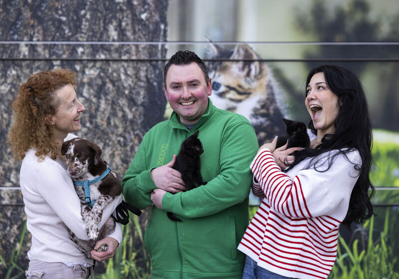 Pet retailer Maxi Zoo raises €32k for Cat and Dog Protection Association of Ireland Pet retailer Maxi Zoo raises €32k for Cat and Dog Protection Association of Ireland