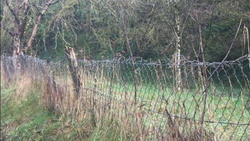 Approach to Mallow from Dublin road side is criticised Approach to Mallow from Dublin road side is criticised