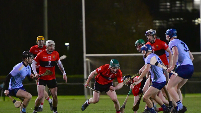 UCC secure home Fitzgibbon Cup quarter-final with win away to UCD