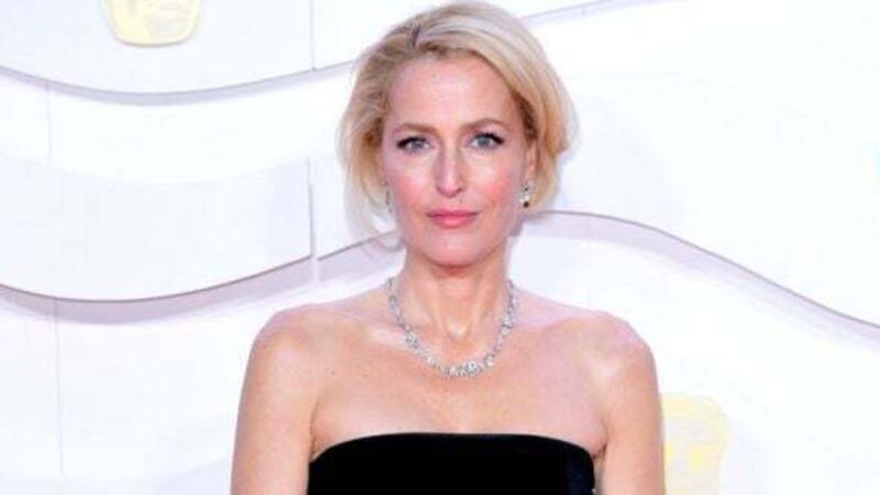Gillian Anderson: Sex Education exposed me to things I had never heard of before