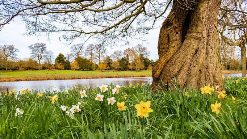 Julie Helen: Happy to see the first signs of Spring Julie Helen: Happy to see the first signs of Spring
