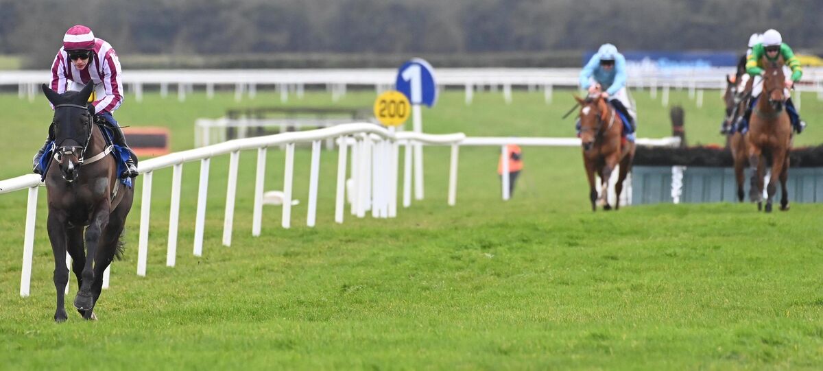 Viva Devito and Paul Townend win the Fairyhouse Easter Festival Maiden Hurdle. Picture: Healy Racing. Viva Devito and Paul Townend win the Fairyhouse Easter Festival Maiden Hurdle. Picture: Healy Racing.