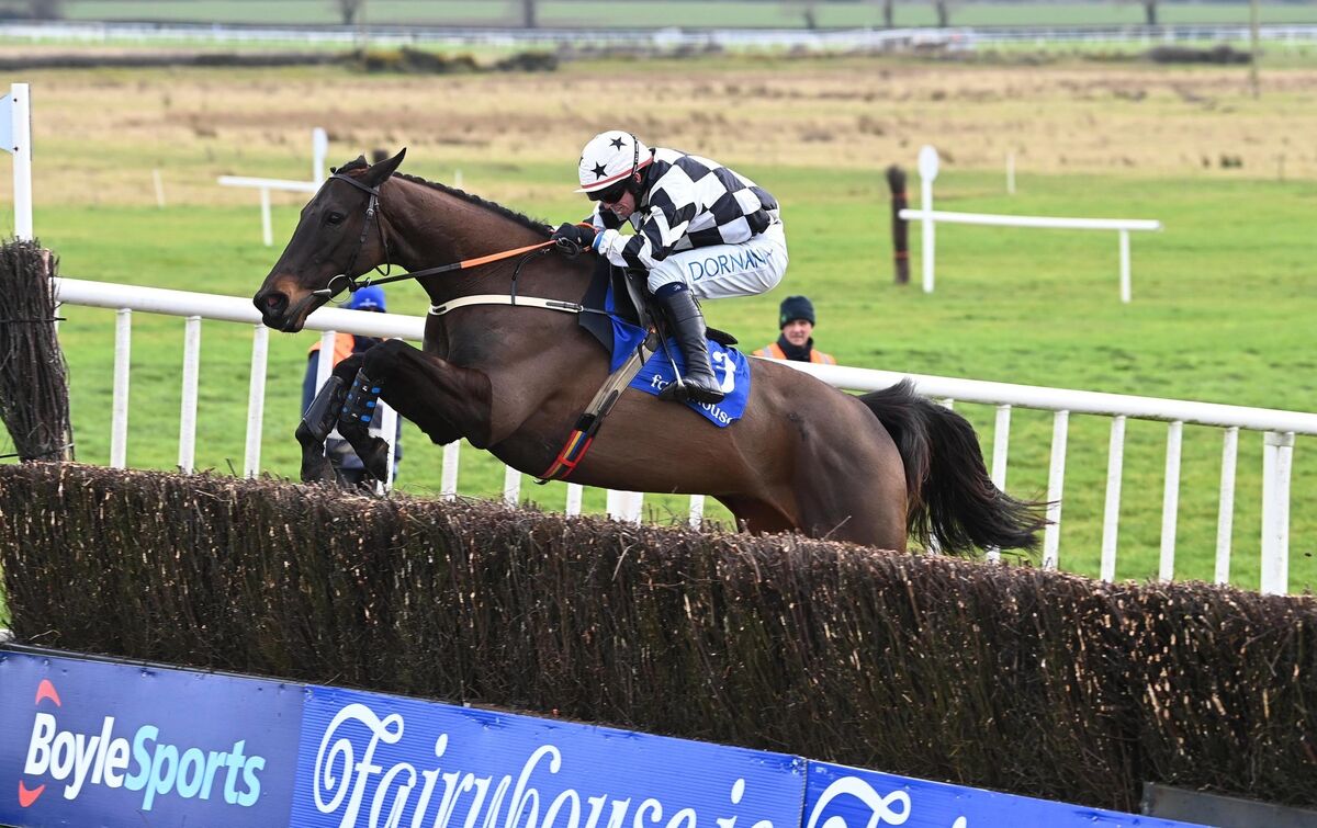 Velvet Elvis and Darragh O'Keeffe win. Picture: Healy Racing Velvet Elvis and Darragh O'Keeffe win. Picture: Healy Racing