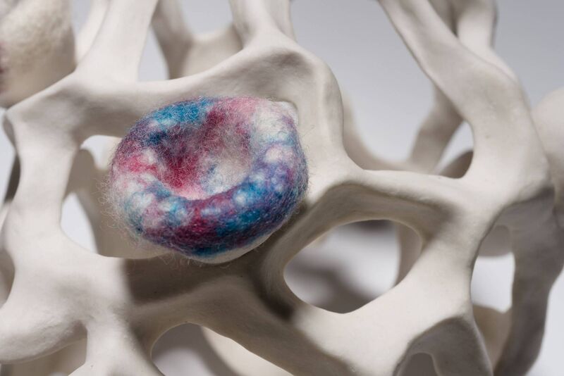 Bernie Hennessy, Detail Montastreaea, 2022. Picture: Ronald Paschhoff