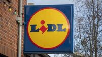 Lidl announces 700 new jobs across Irish operations