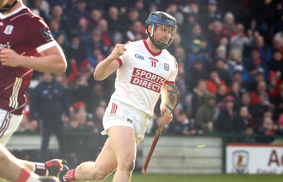 Conor Lehane celebrates scoring raising a green flag. Picture: INPHO/Bryan Keane