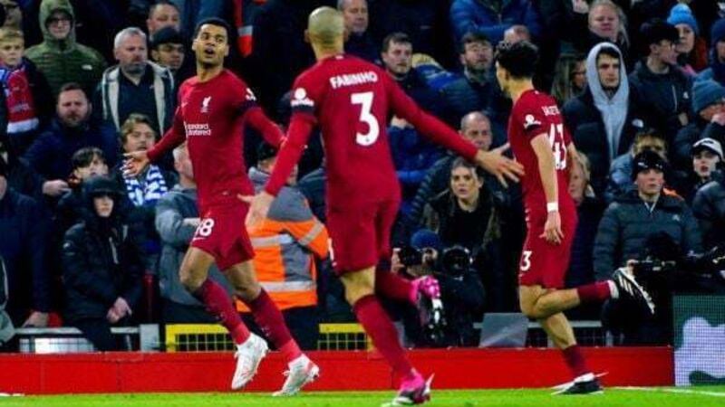 Cody Gakpo opens Liverpool account as they ease past derby rivals Everton