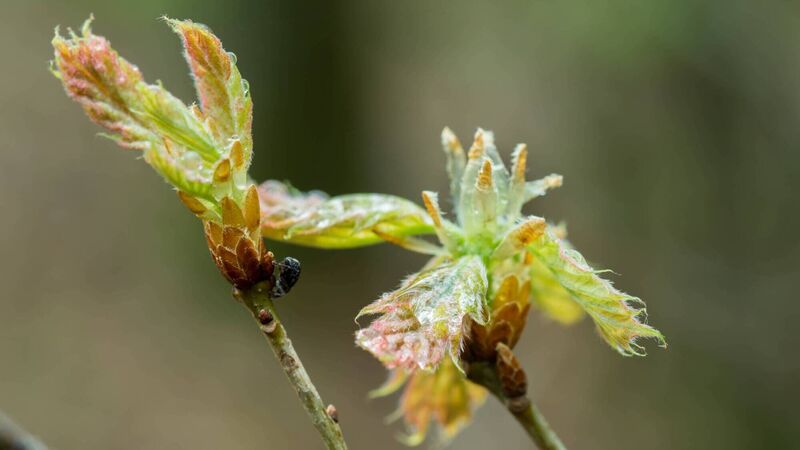 John Arnold: One of the things that keeps me in love with the land is variety