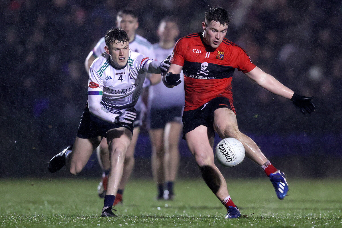 UCC’s Fionn Herlihy and Daniel Walsh of the University of Limerick. Picture: INPHO/Laszlo Gezo