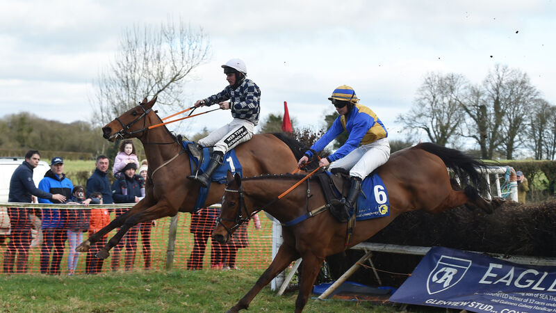 Maxine O’Sullivan partners two winners at her favourite event: Kildorrery Point to Point