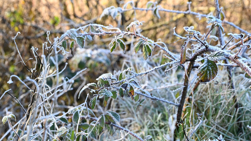 Cork weather: Met Éireann advise of 'noticeably colder' conditions over coming days Cork weather: Met Éireann advise of 'noticeably colder' conditions over coming days