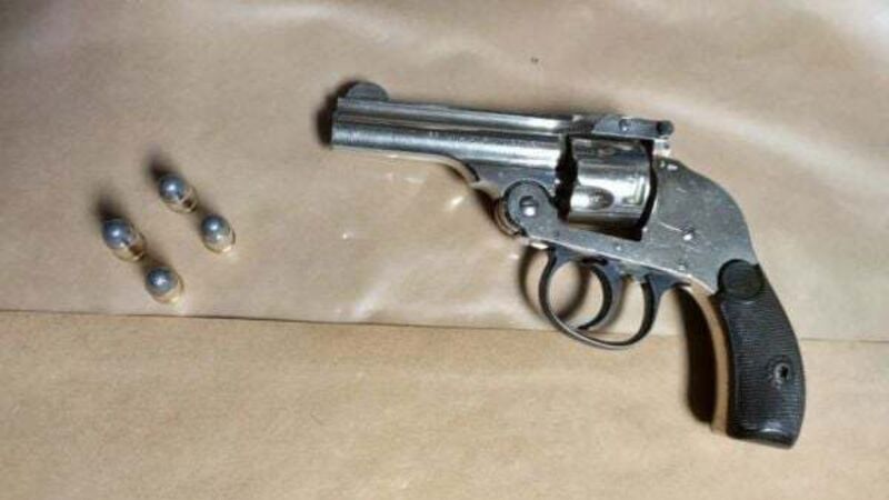 Gardaí arrest two men in Kylemore over firearms seizure