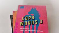 Cork's great literary talent is on full display in new book