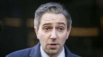 Simon Harris backs calls to review plans for domestic violence leave