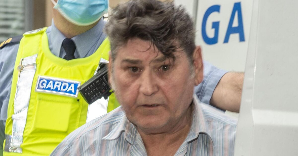 'Like something from downtown LA rather than Rochestown': Father and son jailed after shot fired in Garda raid - Vimarsana News