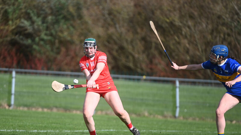 Cork camogie: Intermediate team make short work of Tipp in league opener