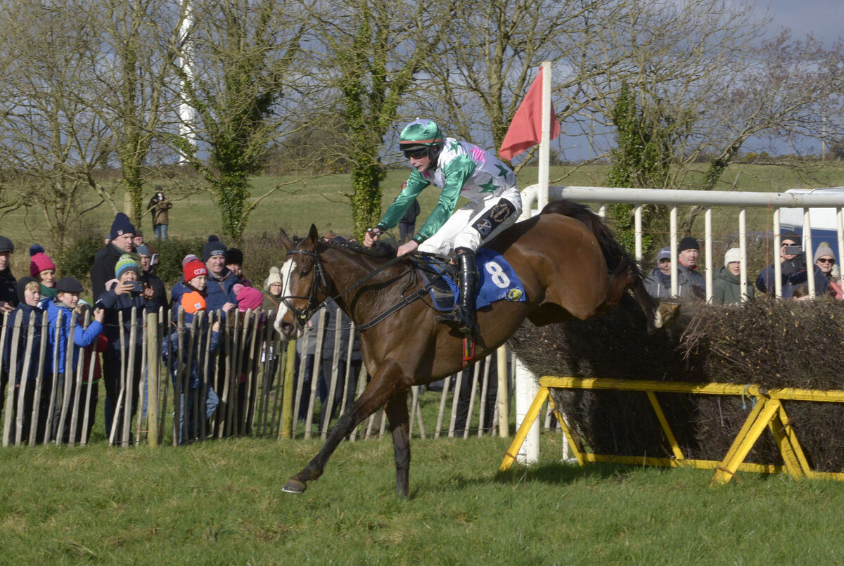 Pictured at the annual Carbery Hunt Point to point races at Bandon Co Cork was On Lovers Walk under jockey Darragh Higgins and owned by Abigail and Lucy Kelleher from Macroom to win the Confined maiden race for 5-yo and upwards. Picture Denis Boyle Pictured at the annual Carbery Hunt Point to point races at Bandon Co Cork was On Lovers Walk under jockey Darragh Higgins and owned by Abigail and Lucy Kelleher from Macroom to win the Confined maiden race for 5-yo and upwards. Picture Denis Boyle