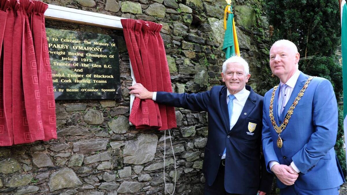 Cork boxers played a huge part in Ireland's successful Olympic history