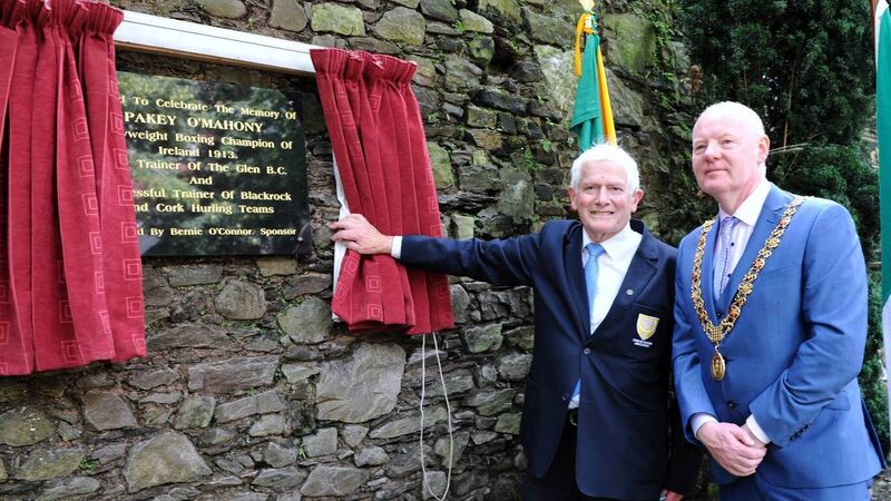 Cork boxers played a huge part in Ireland's successful Olympic history