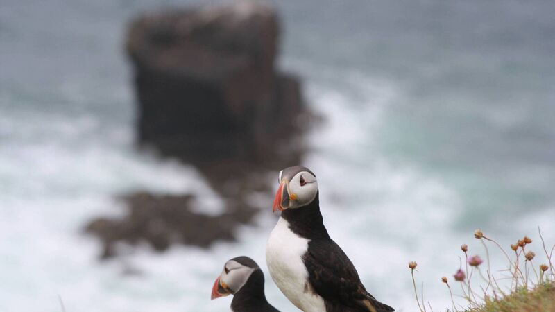 Ten incredible islands to add to your Ireland bucket list