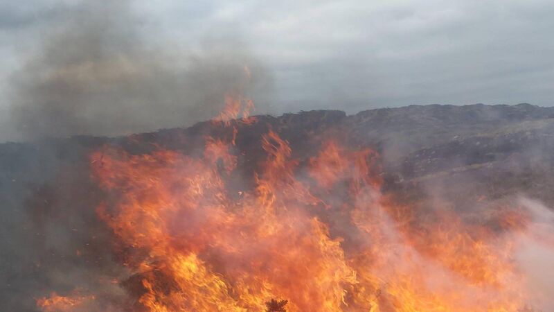 County fire crews battle 71 gorse fires in six days