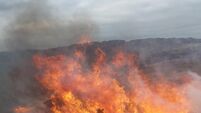 County fire crews battle 71 gorse fires in six days