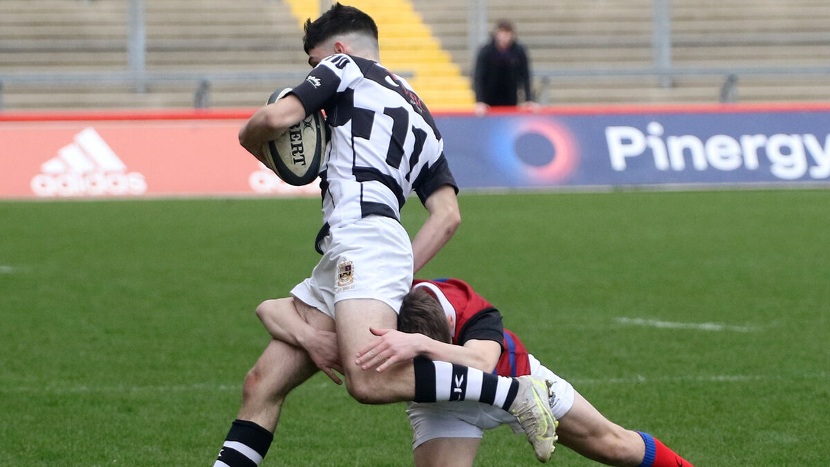 Schools Rugby: Pres fight back from 17 points down to make another Junior Cup final