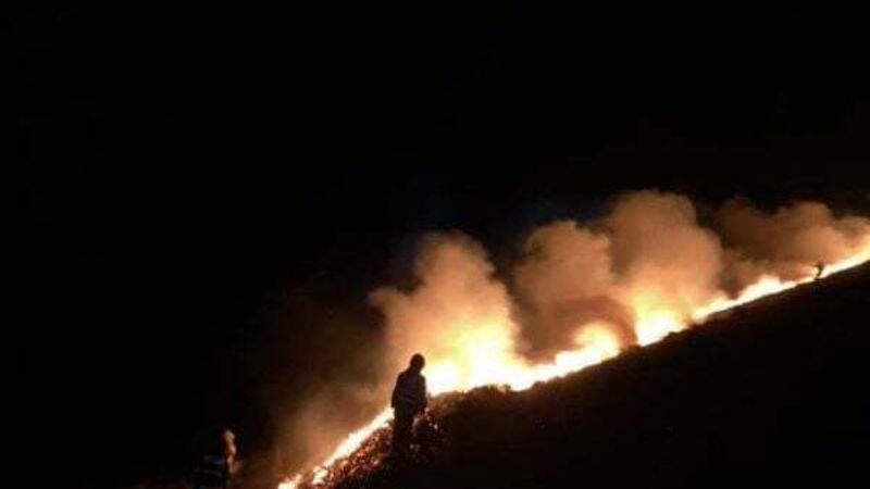 Gorse fires acceptable when done properly, claims agriculture minister