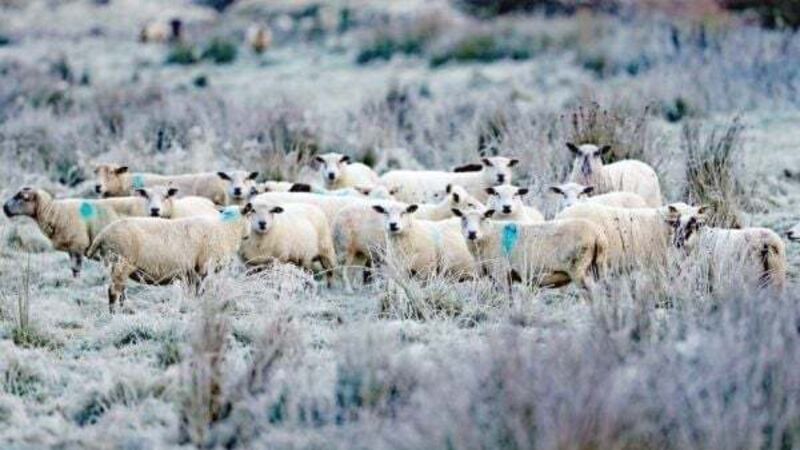 Snow could be on the way as temperatures set to drop next week