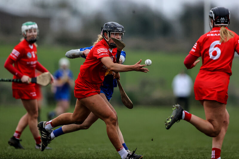 Cork's Laura Hayes makes a pass in the win over Tipp. Picture: INPHO/Ben Brady