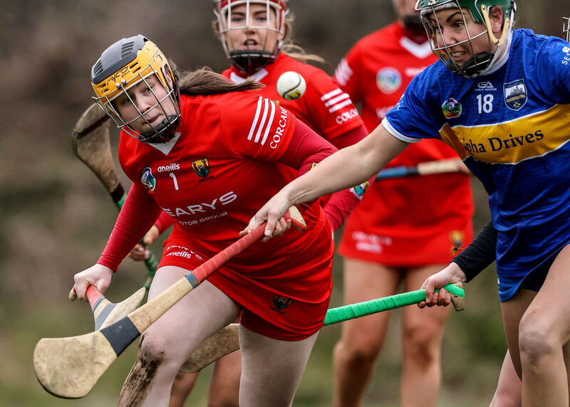 Cork's Amy Lee with Cait Devane of Tipperary. Picture: INPHO/Ben Brady