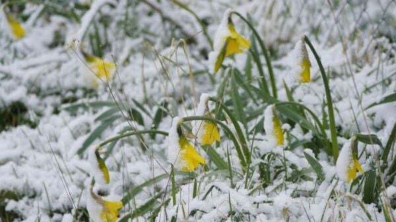Snow and sleet warnings as Met Éireann issues 'uncertain' forecast Snow and sleet warnings as Met Éireann issues 'uncertain' forecast