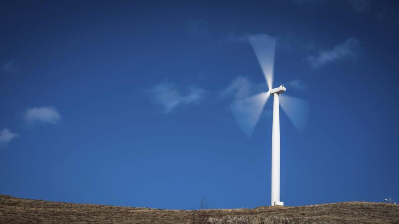 Ireland at risk of not capitalising on wind energy potential, says Cork MEP