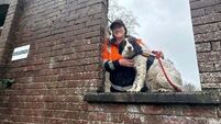 First female Civil Defence dog handler says canine partner ‘works for my love’