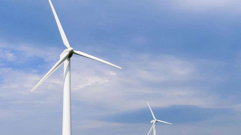 Cork could lead the production of green energy, according to report