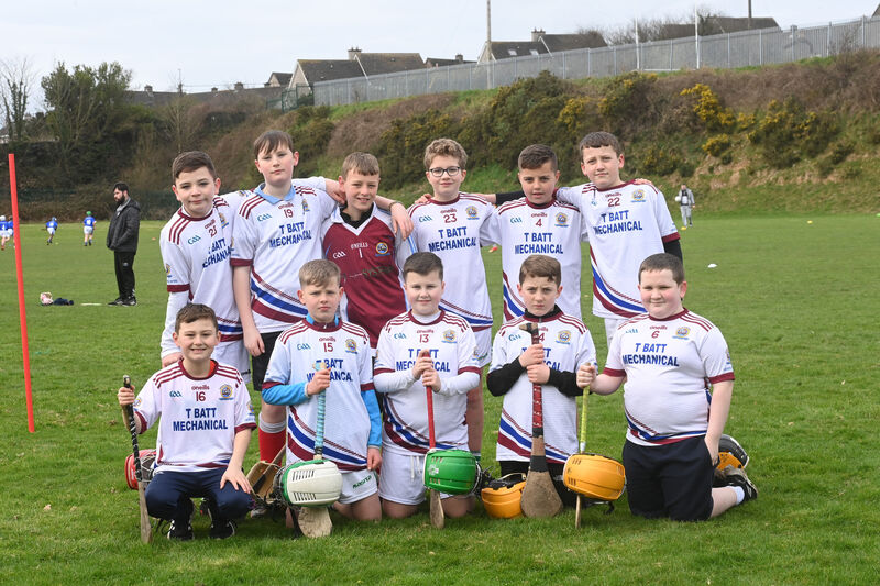  Hurlers from Gaelscoil Pheig Sayers at the the blitz. Gaelic games blitz for local primary schools at North Monastery Secondary School, Cork. Eight local national schools sent teams of boys and girls, and mixed teams to take part in the sports event of hurling and football. Pic: Larry Cummins